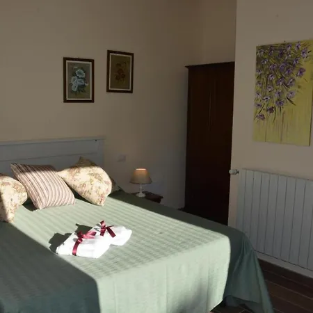 בית הארחה Room In Bb - Bb Il Leccio , Umbria אמליה