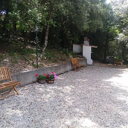 Room In Bb - Bb Il Leccio , Umbria * Amelia