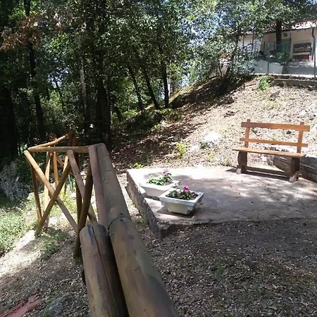 Room In Bb - Bb Il Leccio , Umbria